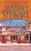 Hometown Girl (Chesapeake Diaries, #4)