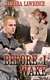 Before I Wake cover