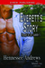 Everett's Story (Rough in the Saddle, #5) by Hennessee Andrews