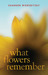 What Flowers Remember