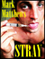 Stray by Mark Matthews
