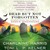 Dead but Not Forgotten Stories from the World of Sookie Stackhouse by Charlaine Harris