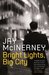 Bright Lights, Big City by Jay McInerney