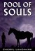 Pool of Souls by Cheryl Landmark