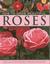How to Grow Beautiful Roses A Practical Guide to Growing, Caring for and Maintaining Roses, Shown in Over 275 Glorious Photographs by Peter McHoy