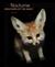 Nocturne by Traer Scott Nocturne by Traer Scott