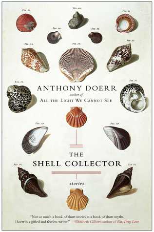 Shattered Seashells - A Short Story