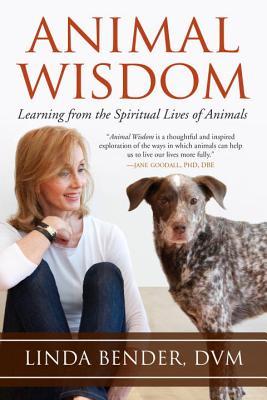 animal-wisdom-learning-from-the-spiritual-lives-of-animals