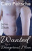 Wanted by a Dangerous Man (By a Dangerous Man #2) by Cleo Peitsche