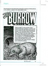 The Burrow cover