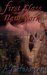 First Class to New York (First Class Novels, #1) by A.J. Harmon