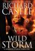 Wild Storm (Derrick Storm, #5) by Richard Castle
