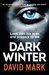 The Dark Winter (Aector McAvoy, #1) by David Mark