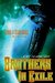 Brothers in Exile (Sons of the Starfarers, #1) by Joe Vasicek