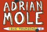 Adrian Mole's Royal Wedding Diary