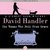 The Woman Who Fell from Grace (Stewart Hoag Mysteries, #4) by David Handler