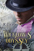 Wicklow's Odyssey by R. Cooper