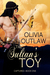 The Sultan's Toy Book One Captured by Olivia Outlaw
