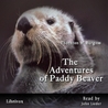 The Adventures of Paddy the Beaver cover