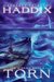 Torn (The Missing, #4) by Margaret Peterson Haddix