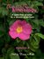 BestsellerBound Short Story Anthology Volume 4 by Darcia Helle