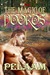 Magic of Dooros by Pelaam