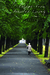Escape from Assisted Living by Joyce Hicks