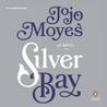 Silver Bay cover