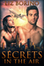 Secrets in the Air (Secrets, #1) by Liz Borino