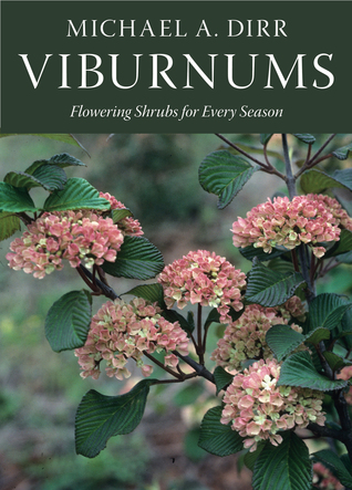 viburnums-flowering-shrubs-for-every-season