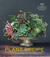 The Plant Recipe Book 100 Living Arrangements for Any Home in Any Season by Baylor Chapman