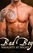 Bad Boy Naughty at Night (Bad Boy Naughty at Night, #1) by Jamie Lake