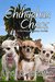Chihuahua Chaos A Pet Rescue Mystery Novella by Linda O. Johnston