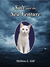 Salt and the Sea Venture by Melissa L. Gill