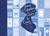 Jane Austen Cover to Cover 200 Years of Classic Book Covers by Margaret C. Sullivan
