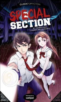 special-section
