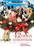12 Dogs of Christmas by Steven Paul Leiva