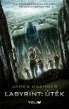 Labyrint: Útěk (Labyrint, #1)
