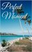 Perfect Moment by Jason R. Hemmings