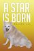 A Star is Born by Rajeev Lal