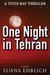 One Night in Tehran (Titus Ray Thriller #1) by Luana Ehrlich