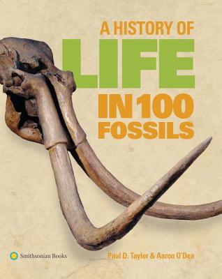 a-history-of-life-in-100-fossils