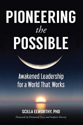 pioneering-the-possible-awakened-leadership-for-a-world-that-works