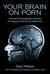 Your Brain On Porn