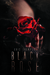 Black Rose by Kris Thompson