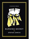 Burning Secret cover