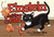 Einstein and the Leaf by Jennifer Milius