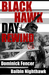 Black Hawk Day Rewind by Baibin Nighthawk