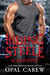 Riding Steele Kidnapped (Riding Steele, #1) by Opal Carew
