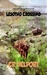 Lesotho Crossing (The Army Chronicles) by C.R. Delport